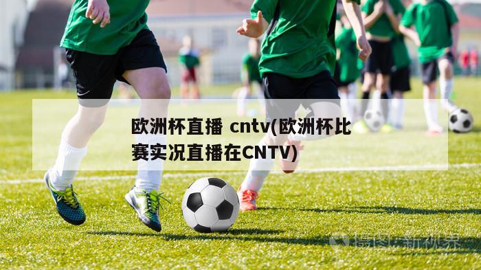 欧洲杯直播 cntv(欧洲杯比赛实况直播在CNTV)
