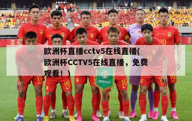 欧洲杯直播cctv5在线直播(欧洲杯CCTV5在线直播，免费观看！)